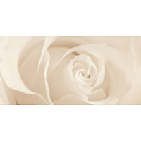 Декор Opoczno Effecta beige inserto 29,7x60 Декор Opoczno Effecta beige inserto 29,7x60