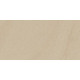 плитка Paradyz Arkesia poler 29,8x59,8 beige