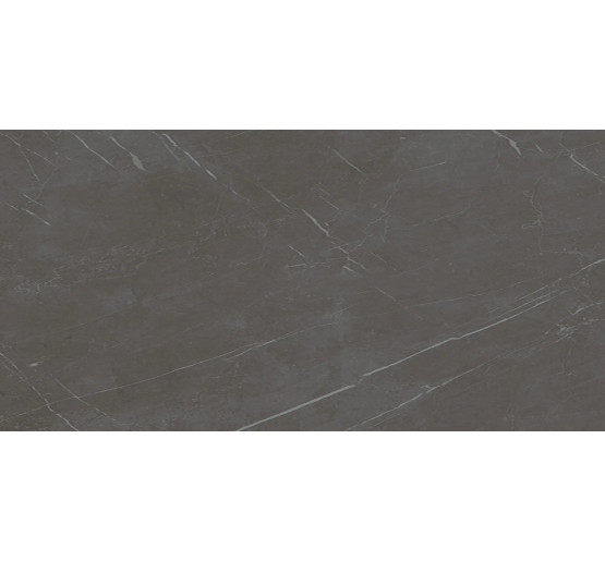 Плитка Teo Ceramics Marmolino Anthracite F P R Mat 60x120