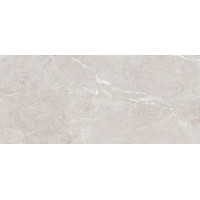 Плитка Teo Ceramics Arber Silver R Mat 60x120