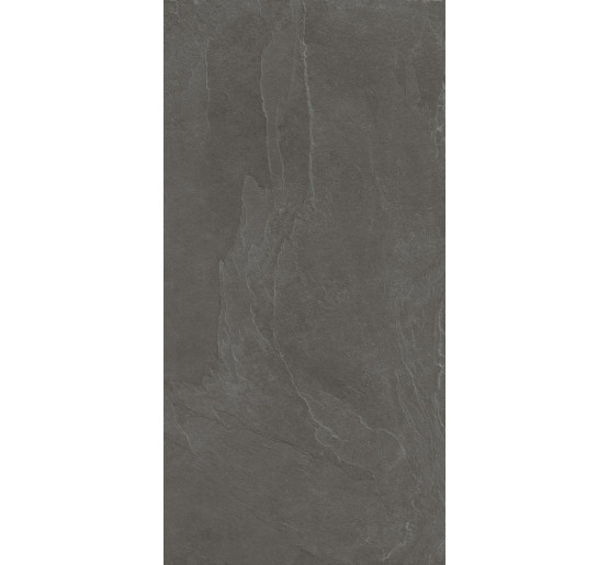 Плитка Teo Ceramics Leon Anthracite F P Mat 60x120