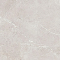 Плитка Teo Ceramics Arber Silver R Mat 60x60