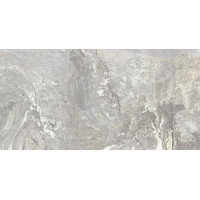 Плитка Teo Ceramics Magnifica Silver F P 60x120 R Sumat