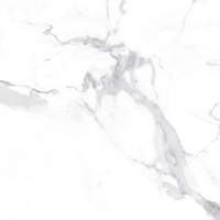 Плитка Teo Ceramics Alcora Grey FPR Satin 60x60