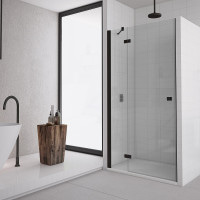 Душові двері SanSwiss, Annea BlackLine AN13G12000607, ширина 1200мм, відкривання вліво, скло прозоре, профіль чорний мат