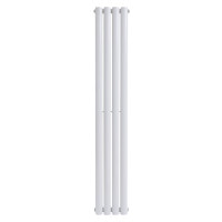 Вертикальный дизайнерский радиатор отопления ARTTIDESIGN Rimini II 4/1500/236/50 белый матовый