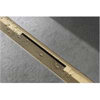 Верхняя часть Hansgrohe "RainDrain Flex" для канала (пристенный) 800 мм Polished Gold Optic (56051990)