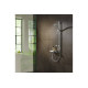 Ручной душ Hansgrohe Raindance Select S 120 3jet EcoSmart 9L Chrome (26531000)