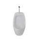 Писсуар подвесной Qtap Crow с краном-дозатором 390х330х660 White QT0588112HW