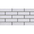 Плитка фасадна Cerrad Foggia bianco 6,5x24,5 (11900)