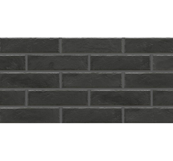 Плитка фасадна Cerrad Foggia nero 6,5x24,5 (11917)