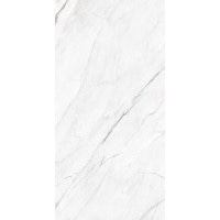 Плитка Cerrad Statuario white poler 119,7x279,7 (5903313327527)  