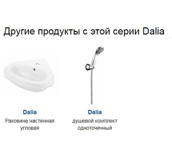 Тримач з присоскою для душової лійки Deante Dalia хром (NDD 021U)