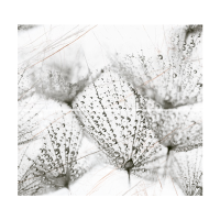 Декор InterCerama Fancy пано сiрий 46x50 (П225071)