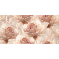 Декор  Opoczno Royal Garden inserto flower 29,7x60