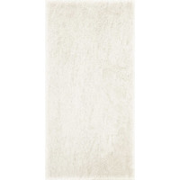 Плитка Paradyz Emilly Bianco 30x60