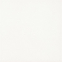 Плитка підлогова Paradyz Gammo Bianco матова 19,8x19,8