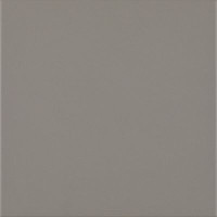 Плитка Paradyz Bazo Grys Gres Monokolor Mat. 19,8x19,8