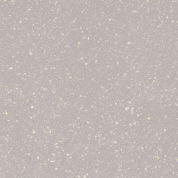 Плитка Paradyz Moondust Silver Gres Szkl. Rekt. Mat. 59,8x59,8