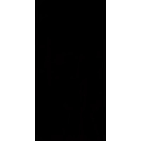 плитка Paradyz Synergy Nero Ściana 30x60 