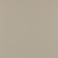 Плитка Paradyz Modernizm Grys Gres Rekt. Mat. 59,8x59,8