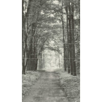 Панно Tubadzin All in white 2 14-elementowy 119,8x209,8