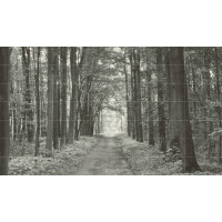 Панно Tubadzin All in white 1 42-elementowy 359,8x209,8