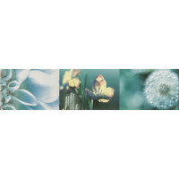 Фриз Tubadzin Maxima azure 2 44,8x10