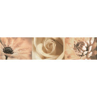 Фриз Tubadzin Maxima brown 2 44,8x10