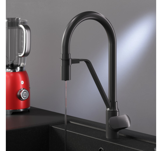 Змішувач для кухні з каналом для питної води і гнучким виливом, чорний AM.PM F8007822 Like