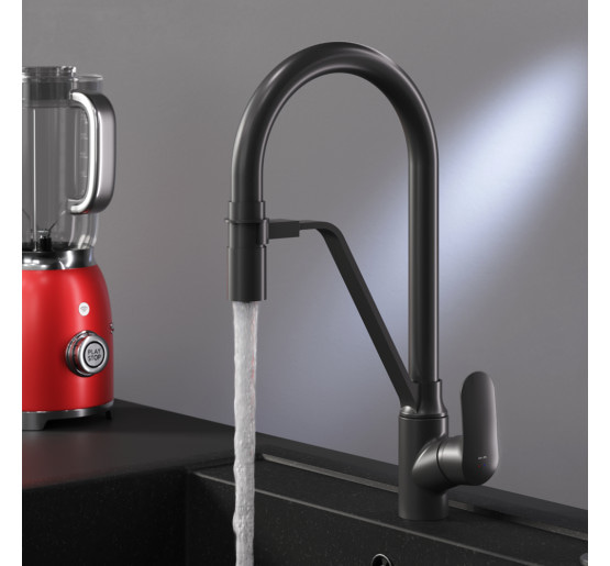 Змішувач для кухні з каналом для питної води і гнучким виливом, чорний AM.PM F8007822 Like