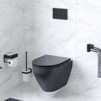 Унітаз підвісний FlashClean з сидінням мікроліфт AM.PM C701700MBSC Spirit V2.0