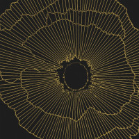 Плитка керамогранітна Art Deco Black Spritz Natural 297,5x297,5x9,9 Aparici