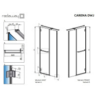 Душевые двери Radaway Carena DWJ 100 L прозрачное стекло (34322-01-01NL)