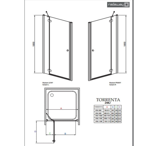 Душові двері Radaway Torrenta DWJ 100R прозоре скло (32020-01-01N)