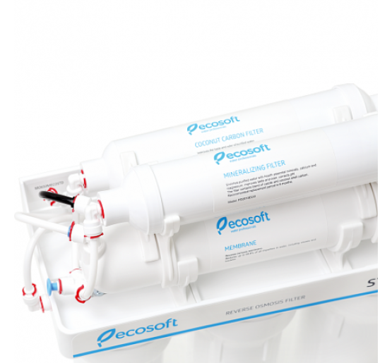 Фильтр обратного осмоса Ecosoft Standard 6-50 с минерализатором