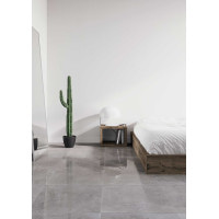 Плитка підлогова Silver Grey Світло-сірий POL 29,7x59,7 код 6615 Nowa Gala
