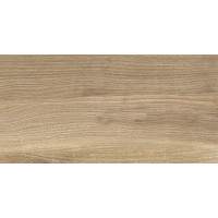 Плитка стінова Ceramika Konskie Brentwood Honey RECT 300x600x8,5