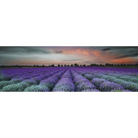 Декор Ceramika Konskie Lavender Field Glass Inserto 250x750x9