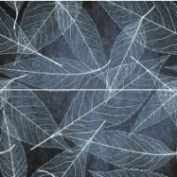 Декор Ceramika Konskie Tampa Blue Inserto 2-элементный RECT 300x600x8,5