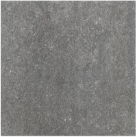 Плитка керамогранитная Spectre Grey RECT 600x600x20 StarGres