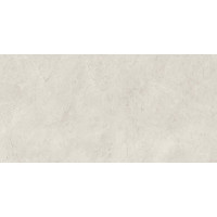 Плитка стеновая Afternoon Silver RECT 298x598x9 Paradyz