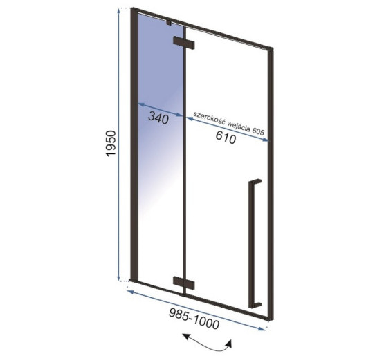 душові двері Rea Fargo 100x195 безпечне скло, прозоре( REA-K6330)