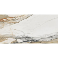 Плитка Stargres Calacatta Gold Polished Rect 59x118