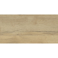 Плитка Stargres Sverigo Natural Non Rect 31x62 